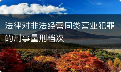 法律对非法经营同类营业犯罪的刑事量刑档次