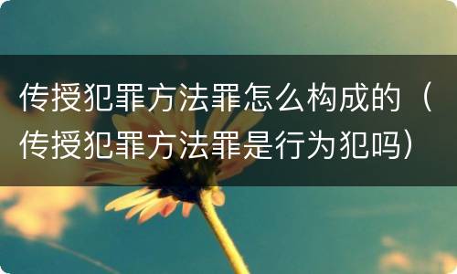 传授犯罪方法罪怎么构成的（传授犯罪方法罪是行为犯吗）