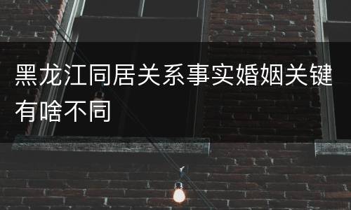 黑龙江同居关系事实婚姻关键有啥不同