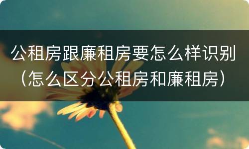 公租房跟廉租房要怎么样识别（怎么区分公租房和廉租房）