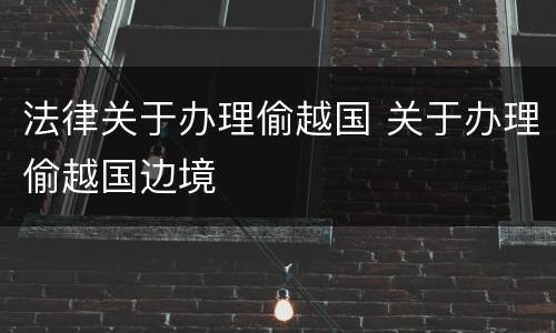 法律关于办理偷越国 关于办理偷越国边境