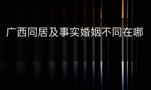 广西同居及事实婚姻不同在哪