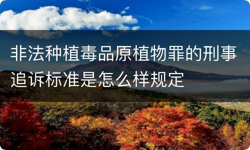 非法种植毒品原植物罪的刑事追诉标准是怎么样规定
