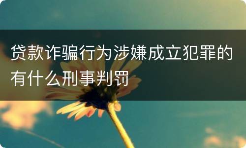 贷款诈骗行为涉嫌成立犯罪的有什么刑事判罚