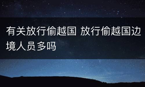 有关放行偷越国 放行偷越国边境人员多吗