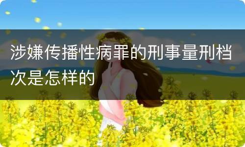 涉嫌传播性病罪的刑事量刑档次是怎样的