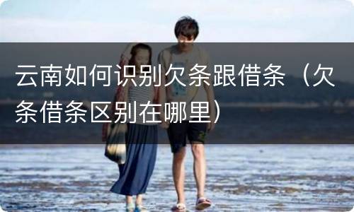 云南如何识别欠条跟借条（欠条借条区别在哪里）