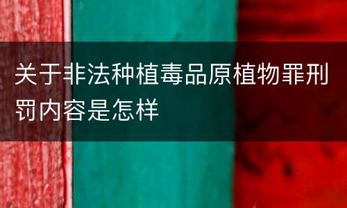 关于非法种植毒品原植物罪刑罚内容是怎样
