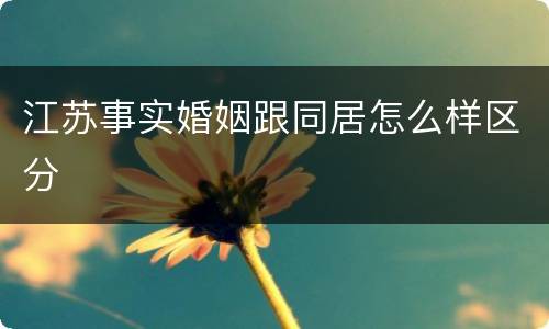 江苏事实婚姻跟同居怎么样区分