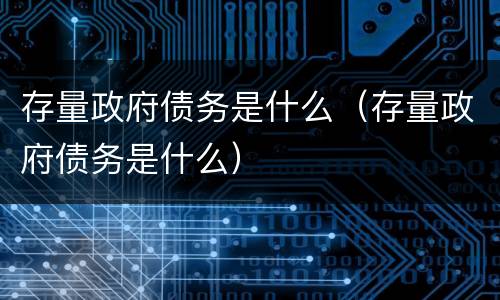 存量政府债务是什么（存量政府债务是什么）
