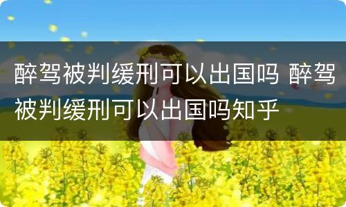 醉驾被判缓刑可以出国吗 醉驾被判缓刑可以出国吗知乎