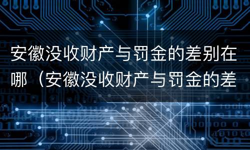 安徽没收财产与罚金的差别在哪（安徽没收财产与罚金的差别在哪里）
