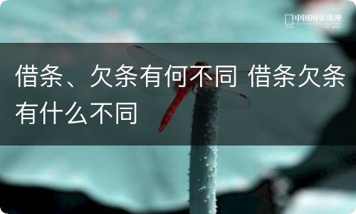 借条、欠条有何不同 借条欠条有什么不同