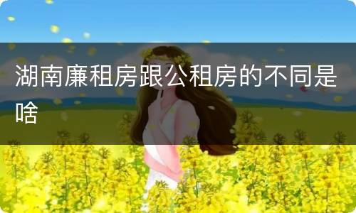湖南廉租房跟公租房的不同是啥