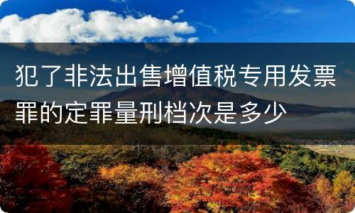 犯了非法出售增值税专用发票罪的定罪量刑档次是多少