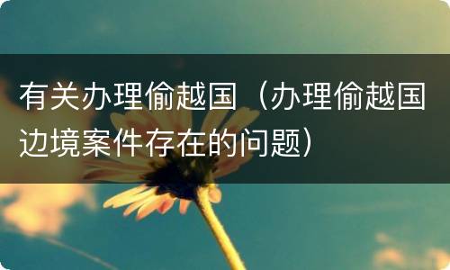 有关办理偷越国（办理偷越国边境案件存在的问题）