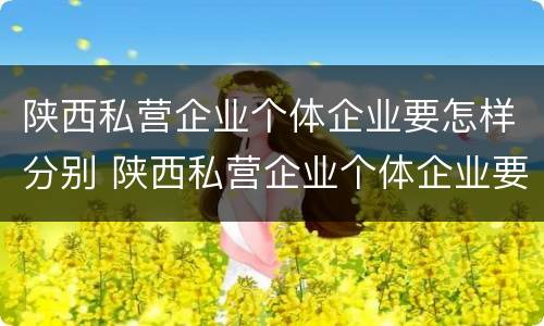 陕西私营企业个体企业要怎样分别 陕西私营企业个体企业要怎样分别开户
