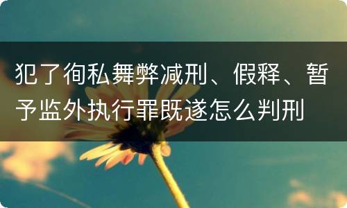 犯了徇私舞弊减刑、假释、暂予监外执行罪既遂怎么判刑