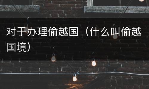 对于办理偷越国（什么叫偷越国境）