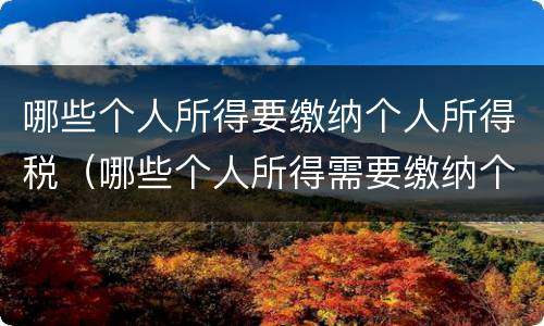 哪些个人所得要缴纳个人所得税（哪些个人所得需要缴纳个人所得税）