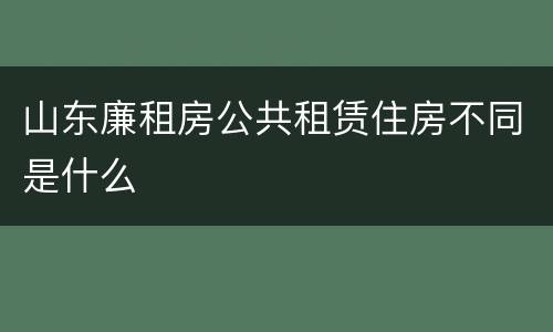 山东廉租房公共租赁住房不同是什么