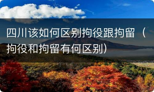 四川该如何区别拘役跟拘留（拘役和拘留有何区别）