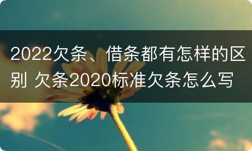 2022欠条、借条都有怎样的区别 欠条2020标准欠条怎么写