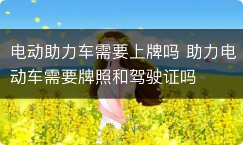 电动助力车需要上牌吗 助力电动车需要牌照和驾驶证吗