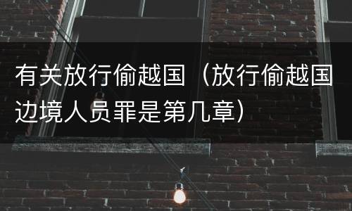 有关放行偷越国（放行偷越国边境人员罪是第几章）