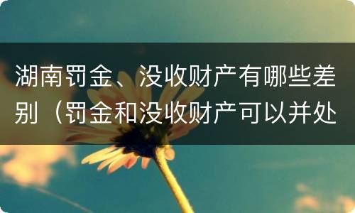 湖南罚金、没收财产有哪些差别（罚金和没收财产可以并处吗）
