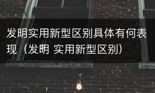 发明实用新型区别具体有何表现（发明 实用新型区别）