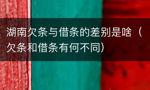 湖南欠条与借条的差别是啥（欠条和借条有何不同）