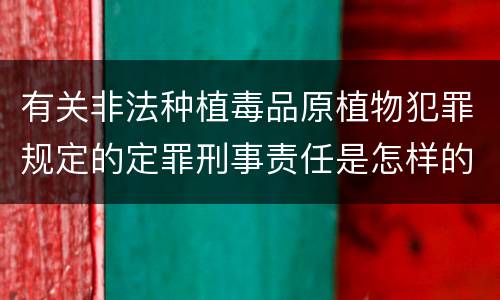 有关非法种植毒品原植物犯罪规定的定罪刑事责任是怎样的