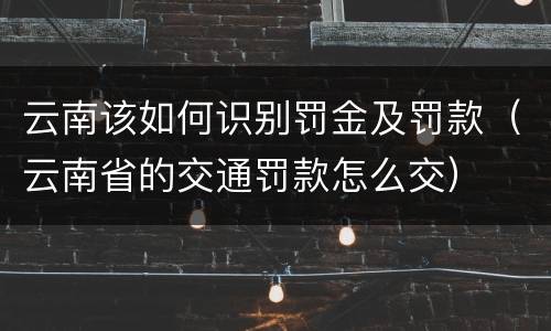 云南该如何识别罚金及罚款（云南省的交通罚款怎么交）