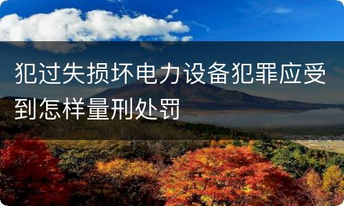 犯过失损坏电力设备犯罪应受到怎样量刑处罚