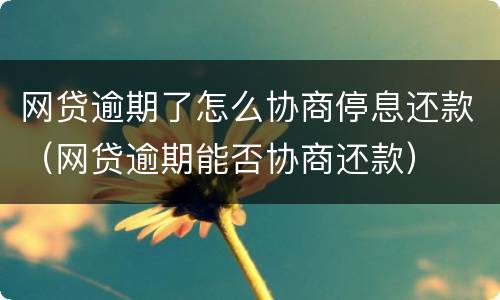 网贷逾期了怎么协商停息还款（网贷逾期能否协商还款）