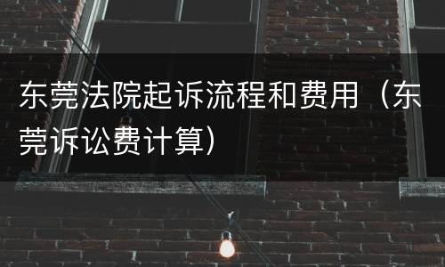 东莞法院起诉流程和费用（东莞诉讼费计算）