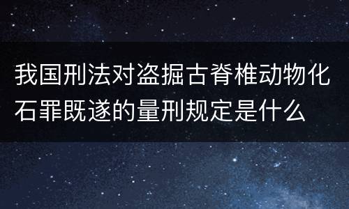 我国刑法对盗掘古脊椎动物化石罪既遂的量刑规定是什么