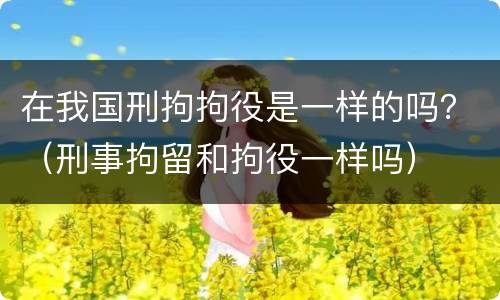 在我国刑拘拘役是一样的吗？（刑事拘留和拘役一样吗）