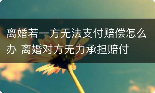 离婚若一方无法支付赔偿怎么办 离婚对方无力承担赔付