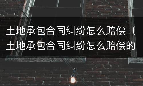 土地承包合同纠纷怎么赔偿（土地承包合同纠纷怎么赔偿的）