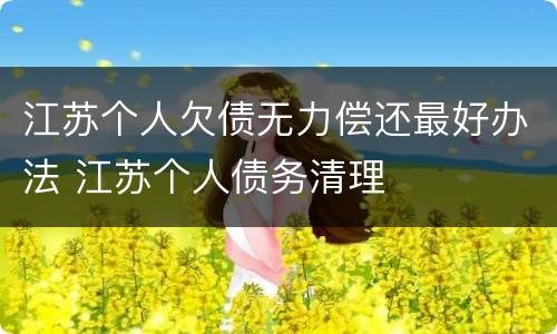 江苏个人欠债无力偿还最好办法 江苏个人债务清理