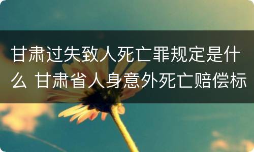 甘肃过失致人死亡罪规定是什么 甘肃省人身意外死亡赔偿标准