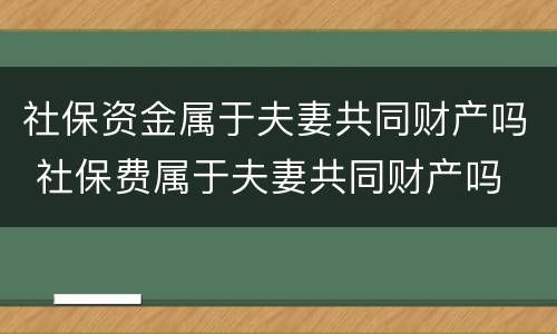 社保资金属于夫妻共同财产吗 社保费属于夫妻共同财产吗