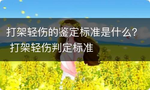 打架轻伤的鉴定标准是什么？ 打架轻伤判定标准