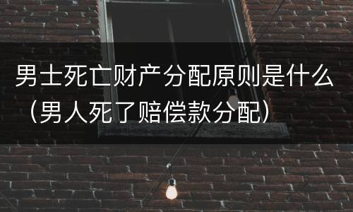 男士死亡财产分配原则是什么（男人死了赔偿款分配）