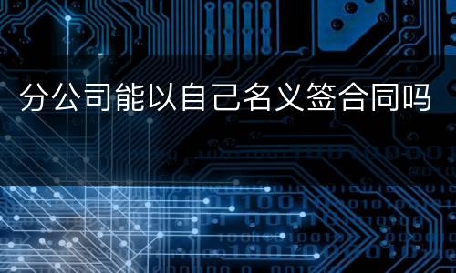 分公司能以自己名义签合同吗