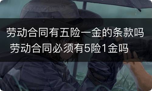 劳动合同有五险一金的条款吗 劳动合同必须有5险1金吗