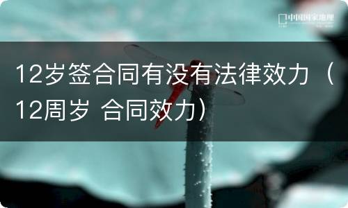 12岁签合同有没有法律效力（12周岁 合同效力）