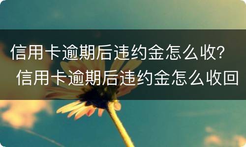 信用卡逾期后违约金怎么收？ 信用卡逾期后违约金怎么收回